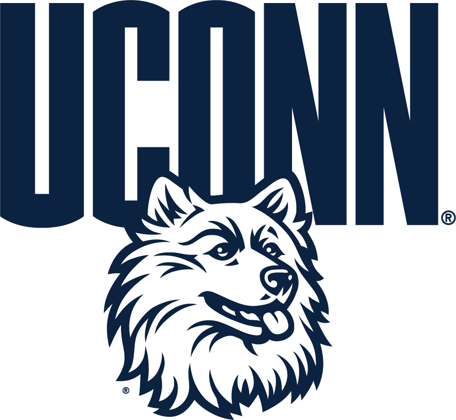 UConn Huskies 2010-2013 Secondary Logo v2 DIY iron on transfer (heat transfer)
